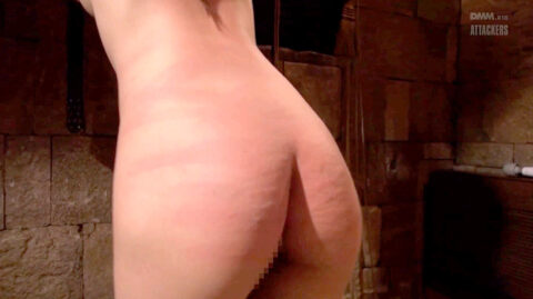 一本鞭 責め SM AV SM調教 ビデオ SM画像 AV画像 三原ほのか