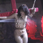 洗濯ばさみ責め SM画像 ｜ 藍山みなみ エロ画像