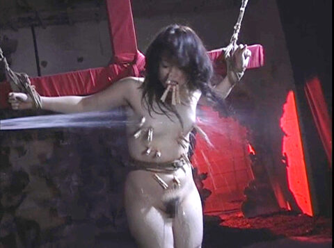 洗濯ばさみ責め SM画像 ｜ 藍山みなみ エロ画像